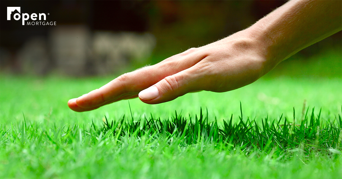 hand hovering over green grass